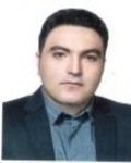 مرتضی مفیدی چلان