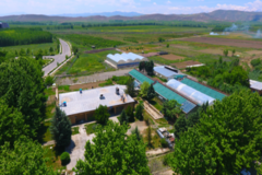 خدمات گلخانه ای