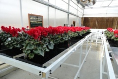 خدمات گلخانه ای