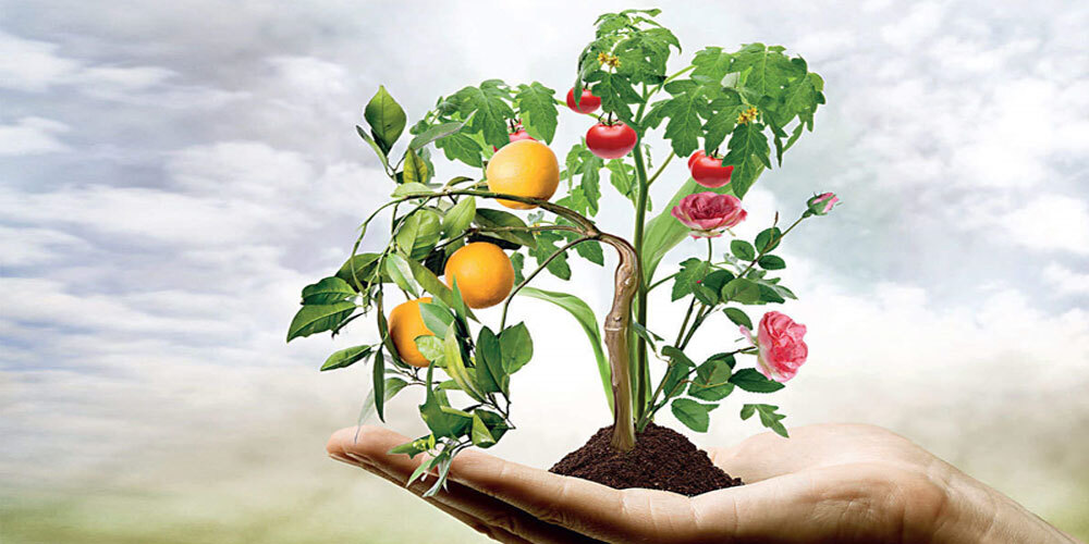 گروه علوم باغبانی