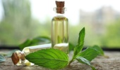 کارگاه استخراج مواد موثره گیاهان دارویی