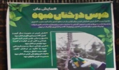 همایش ملی هرس درختان میوه به همت انجمن علمی دانــشجویی علوم باغبانی دانــشگاه ارومیه (+فیلم)