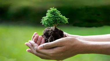 پویش کـاشت درخت در دانــشگاه ارومیه