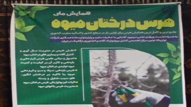 همایش ملی هرس درختان میوه به همت انجمن علمی دانــشجویی علوم باغبانی دانــشگاه ارومیه (+فیلم)